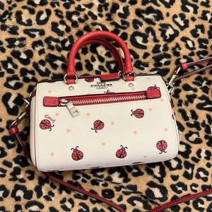 Coach Mini Lady Bug Pattern